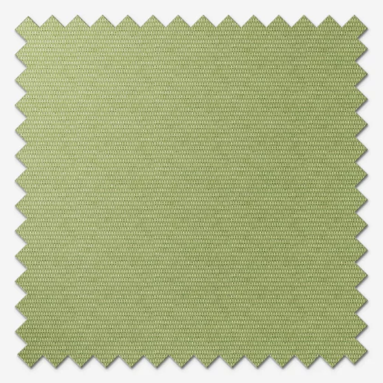 https://postmyblinds.co.uk/hub/blinds/perfect-fit-roller-blind/nefertiti-palette-green-perfect-fit-roller-blind-4.webp