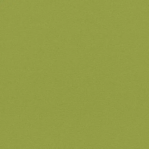 https://postmyblinds.co.uk/hub/blinds/roller-blind/sylvine-lime-roller-blind-2.webp