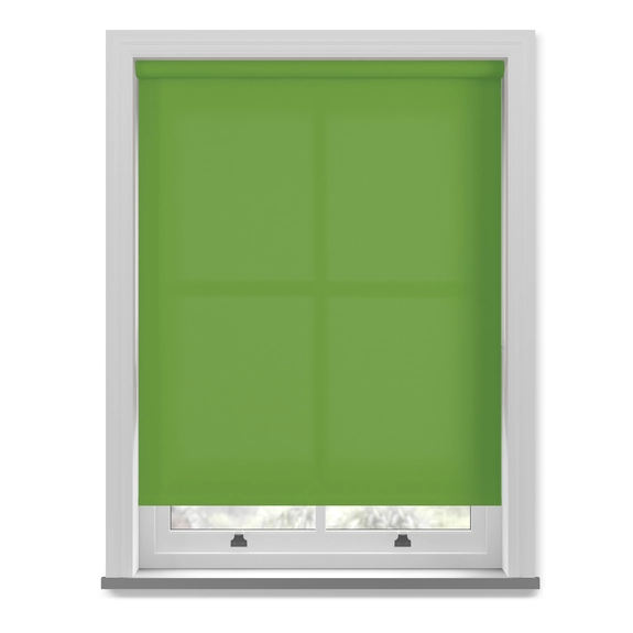https://postmyblinds.co.uk/hub/blinds/roller-blind/whimsy-kiwi-roller-blind-2.webp