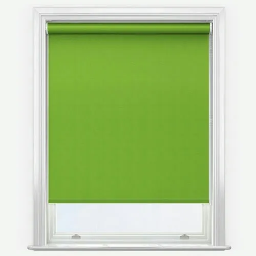 https://postmyblinds.co.uk/hub/blinds/roller-blind/zenobia-apple-green-roller-blind-2.webp