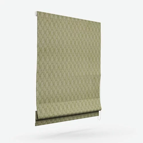 https://postmyblinds.co.uk/hub/blinds/roman-blind/gabriela-pistachio-roman-blind-3.webp