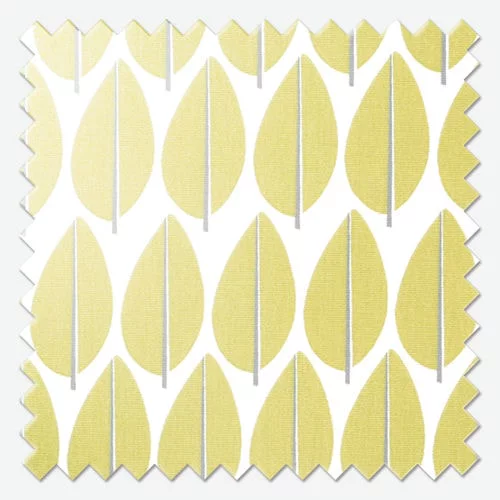 https://postmyblinds.co.uk/hub/blinds/roman-blind/gisella-kiwi-roman-blind-4.webp