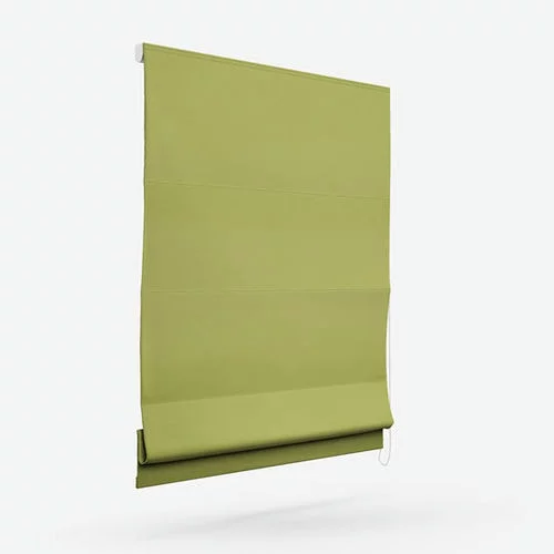 https://postmyblinds.co.uk/hub/blinds/roman-blind/jameson-aloe-roman-blind-3.webp