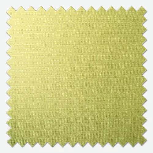 https://postmyblinds.co.uk/hub/blinds/roman-blind/jameson-aloe-roman-blind-4.webp
