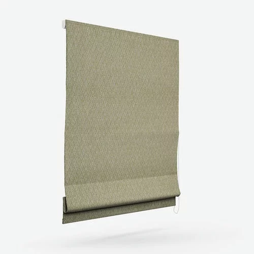 https://postmyblinds.co.uk/hub/blinds/roman-blind/killick-pistachio-roman-blind-3.webp