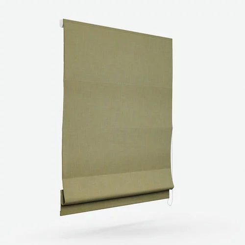 https://postmyblinds.co.uk/hub/blinds/roman-blind/louisa-lichen-roman-blind-2.webp