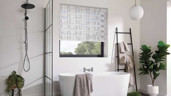 Day and Night Blinds (1)
