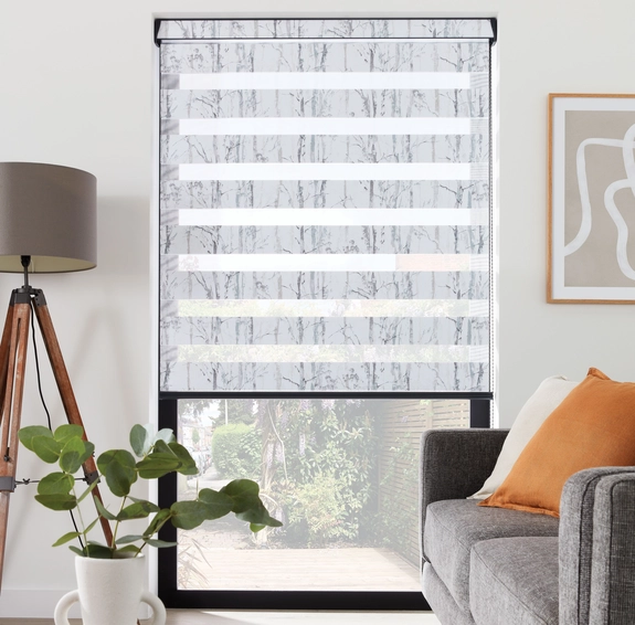 Day and Night Blinds (2)