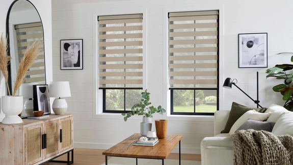 Day and Night Blinds (8)