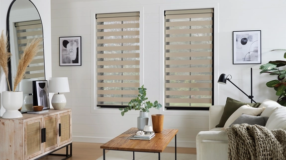 Day and Night Blinds (10)