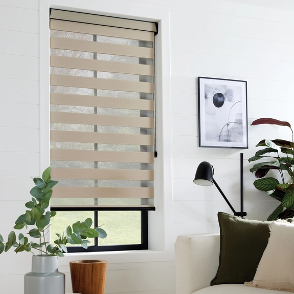 Day and Night Blinds (11)