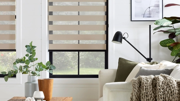 Day and Night Blinds (12)