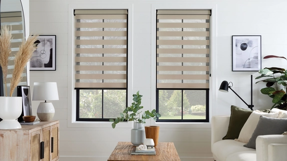 Day and Night Blinds (13)