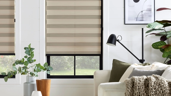 Day and Night Blinds (14)
