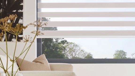 Day and Night Blinds (16)