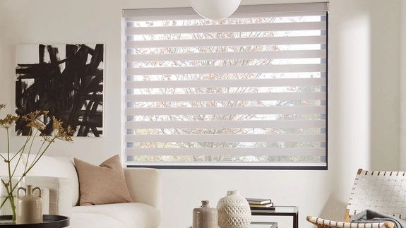 Day and Night Blinds (17)