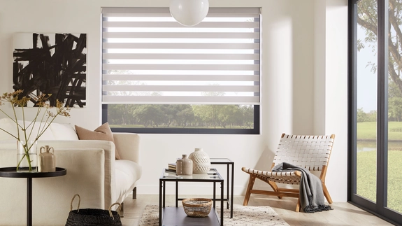 Day and Night Blinds (18)