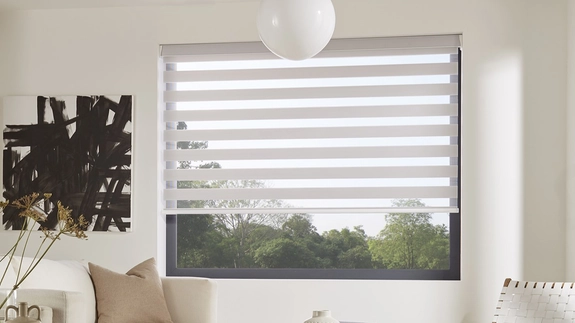 Day and Night Blinds (19)