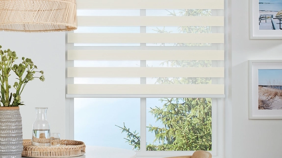 Day and Night Blinds (20)