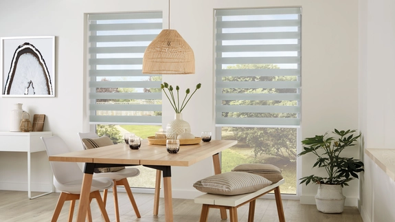Day and Night Blinds (21)