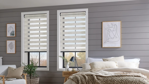 Day and Night Blinds (23)