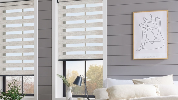 Day and Night Blinds (24)