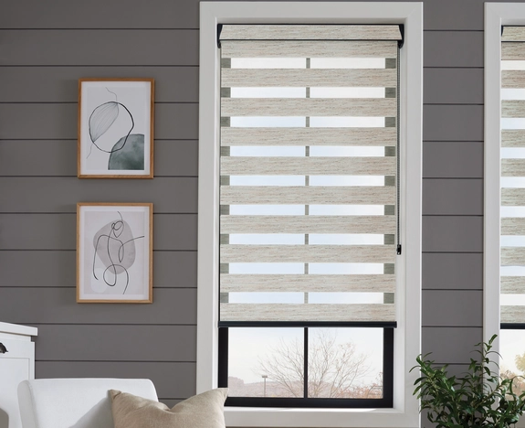 Day and Night Blinds (25)