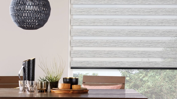 Day and Night Blinds (26)