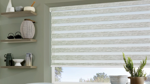 Day and Night Blinds (27)