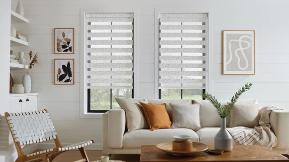 Day and Night Blinds (34)