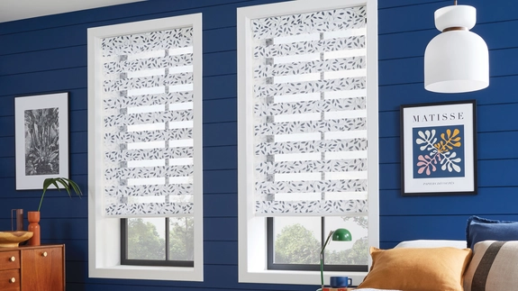 Day and Night Blinds (37)