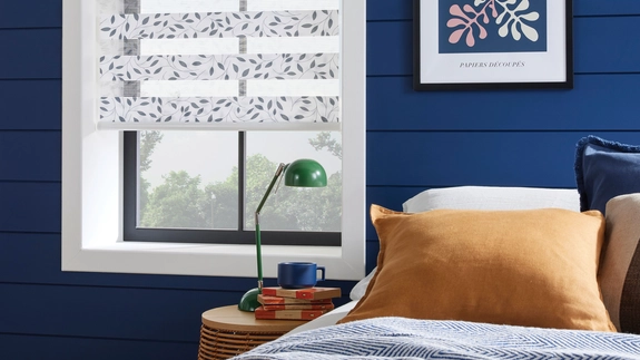 Day and Night Blinds (38)