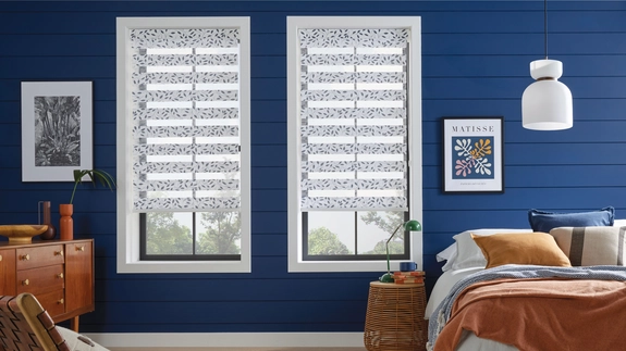 Day and Night Blinds (39)