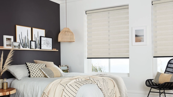Day and Night Blinds (42)
