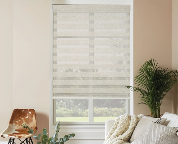 Day and Night Blinds (43)