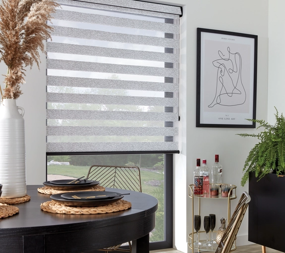 Day and Night Blinds (44)