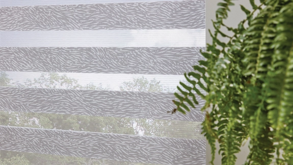 Day and Night Blinds (45)