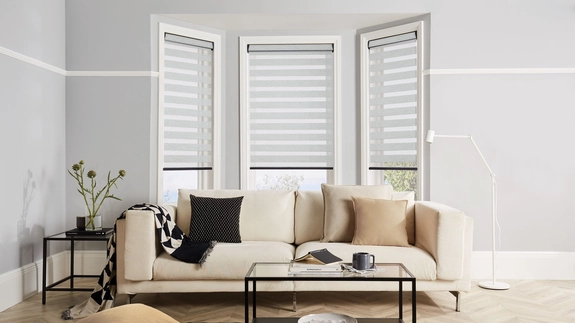 Day and Night Blinds (50)