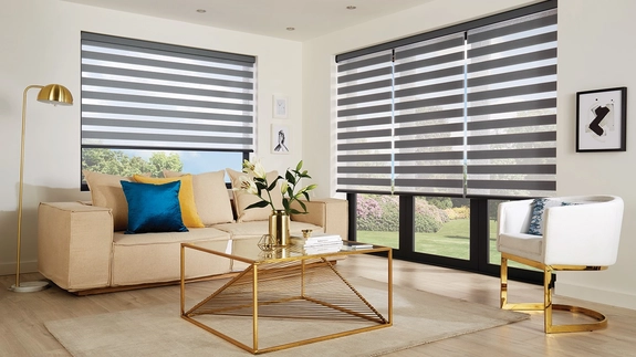 Day and Night Blinds (52)