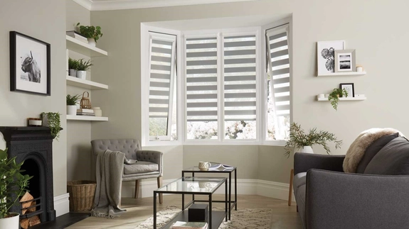 Day and Night Blinds (55)