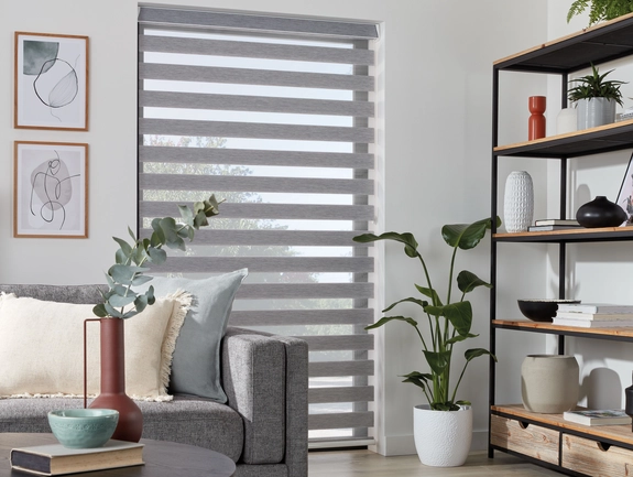 Day and Night Blinds (63)