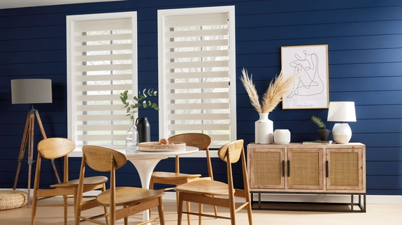 Day and Night Blinds (67)