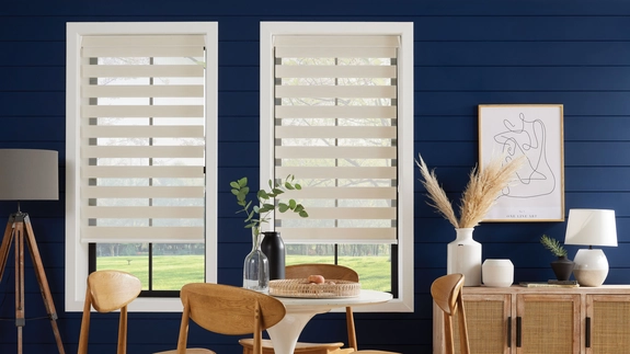 Day and Night Blinds (68)
