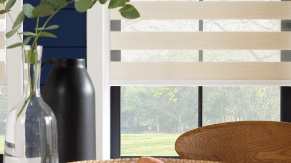 Day and Night Blinds (70)