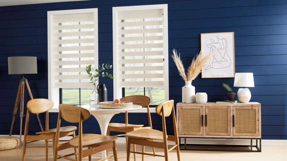Day and Night Blinds (71)