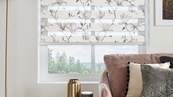 Day and Night Blinds (77)