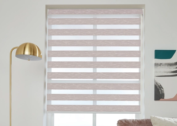 Day and Night Blinds (86)