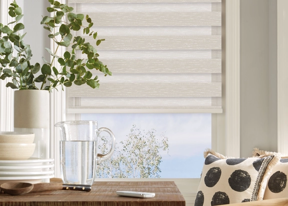 Day and Night Blinds (88)