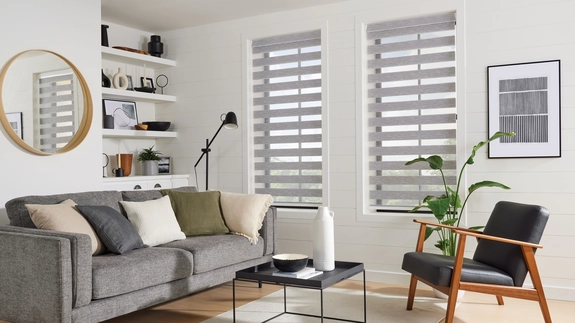 Day and Night Blinds (91)