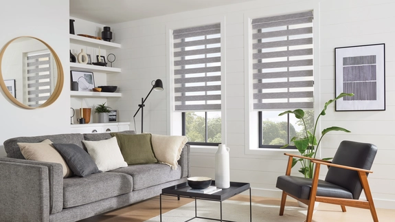 Day and Night Blinds (95)